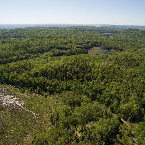 Canadian Cobalt Camp #15