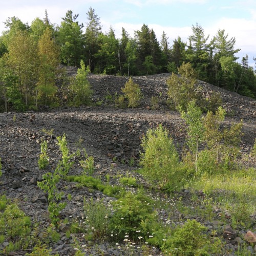 Canadian Cobalt Camp #4
